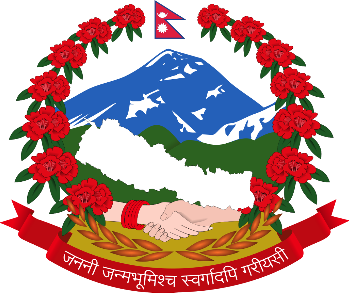 Constitution Icon